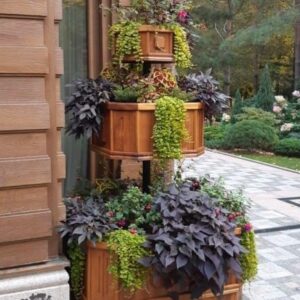 krasnodar.barelwood.com